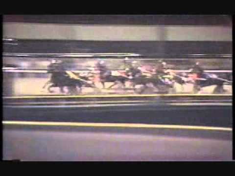 International Trot 1981 -Ideal du Gazeau