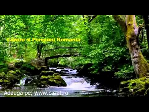 Cazare Saes, Mures - Cazat.ro