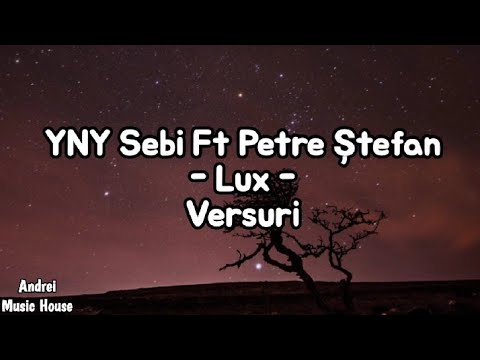 YNY Sebi X Petre Ștefan - LUX (versuri)