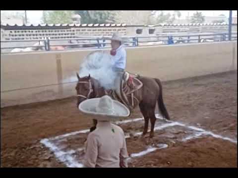MARTÍN PEREA MIJARES PIAL 1 CHARROS DE LA LAGUNA "B" DE GÓMEZ PALACIO ESTATAL 1 DURANGO 2023...