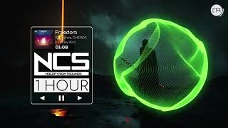 (1 Hour x Lyrics) Freedom ♫ - 32Stitches & CHENDA, Harley Bird | NCS 2022