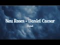 Neu Roses Daniel Caesar Lyrics Vietsub