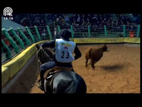 FICCC of Esteio (RS) – 1st place males – Colibri Matrero (Proof: Mangueira II)