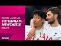 Le résumé de Tottenham / Newcastle en VO - Premier League (J31)