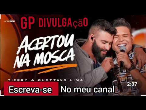 Tierry Acertou na mosca feat Gusttavo Lima - música áudio oficial (lançamento 2021)