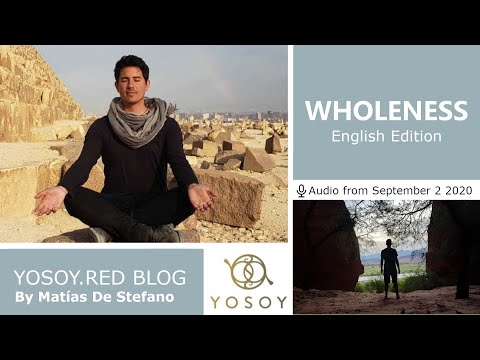 Matías De Stefano - Day 30 - WHOLENESS - YOSOY.RED BLOG: Toroid - Physical - Leo, Read by Carey 9/2