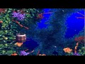 Donkey Kong Country 3 105% | Part 13 (Bazza's Blockade)