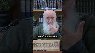 מעלת הזקן #יהדות #תורה #אמונה