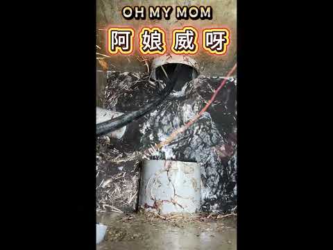 水刀通管｜排水阻塞｜旗山庭園樹根清除｜高雄通管