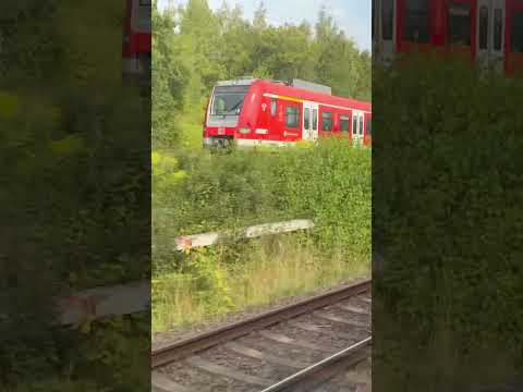 HLB RB49 nach Hanau Hbf