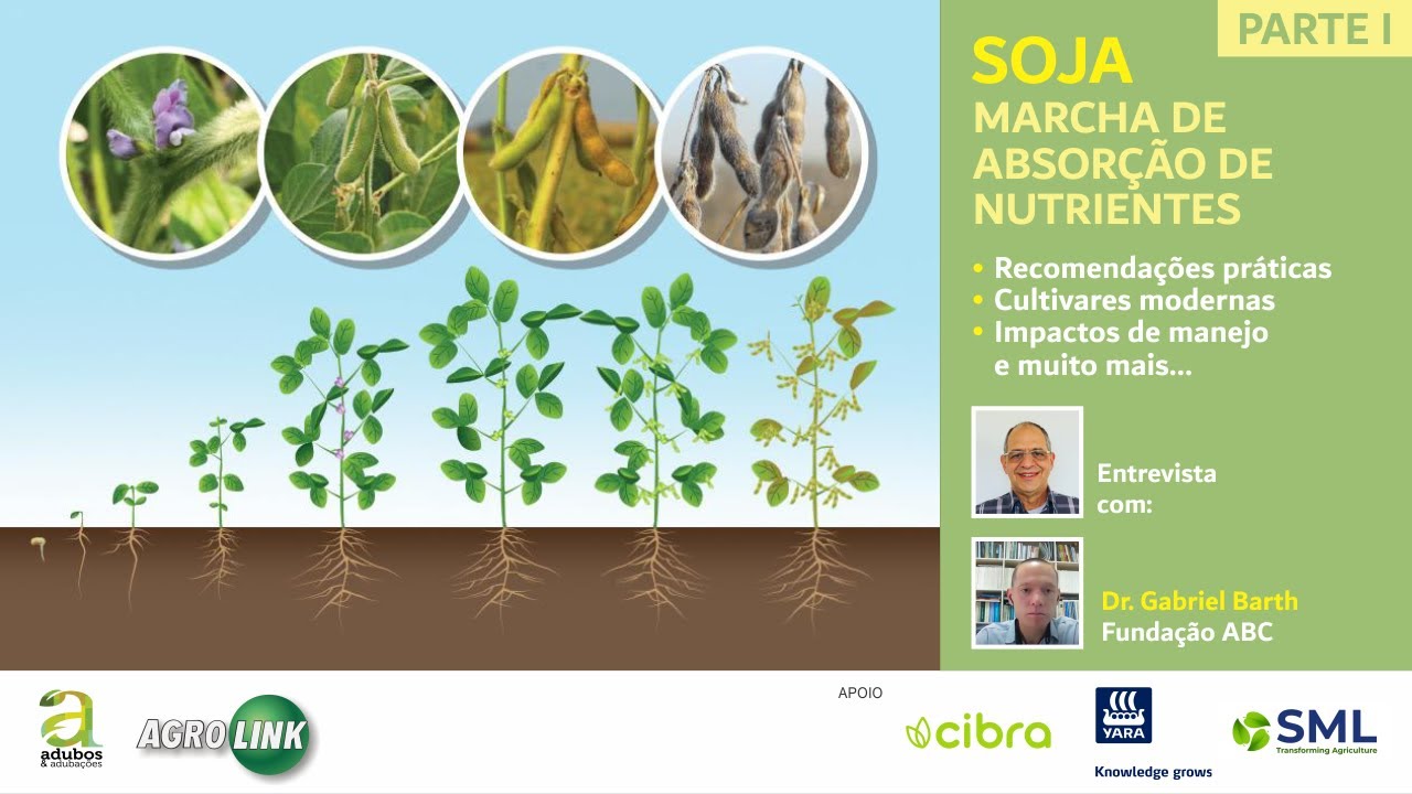 # 253 - PARTE 1 SOJA - MARCHA DE ABSORÇÃO DE NUTRIENTES - ENTREVISTA COM DR. GABRIEL BARTH