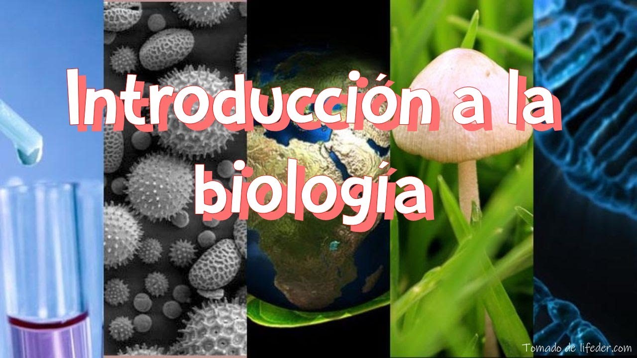 Introducción a la biología