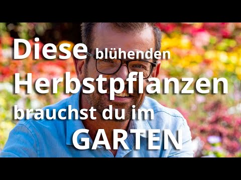 These flowering autumn plants are a must-have in every garden!