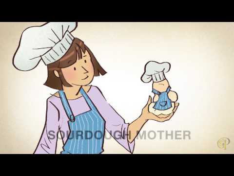 Fermented Science | Fermented Breads | Season 2 Episode 2 | Spoiled To Perfection