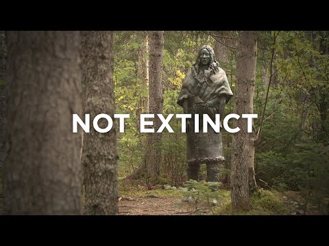 Putting Extinct People InFocus