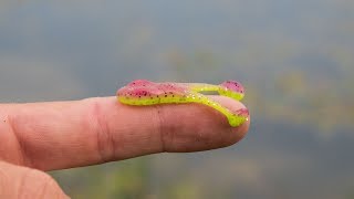 Micro Frog Fishing Challenge