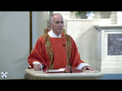 Reflections of Saints Mark and Peter