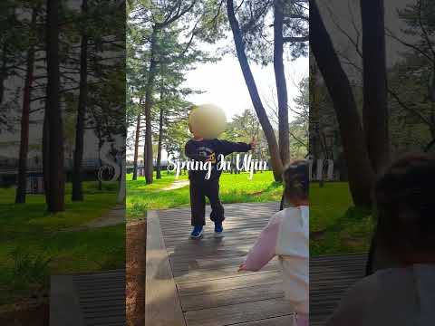 울진의 봄, 아이들과 즐거운 왕피천 해송숲 무료 캠핑! :: 울진SNS홍보단 :: 울진군청