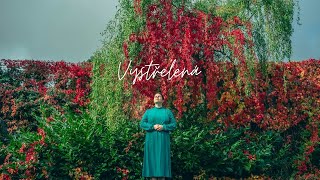 Video Jam in X - Vystřelená