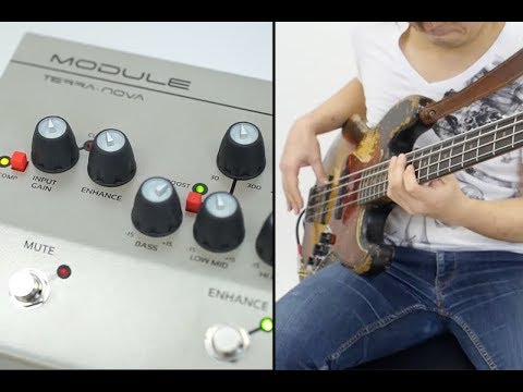 Terra Nova Module by EDEN | RockBoard | PedalPedia