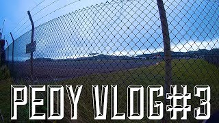 ウェリントン空港フェンス沿い。 -#Pedy VLOG #3- Along the Wellington Airport fence