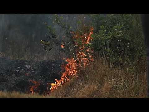 Live: Wildfires tear through southern Europe