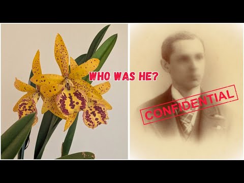 Who Was Richard Mueller? The Orchid Hybrid That Changed Home Growing