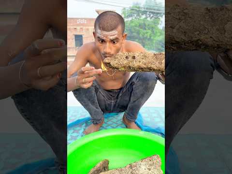 Machar bhagane ka tarika 🔥😂 #trendingshorts #comedyshorts #shortvideo #funny #new #comedy #2026