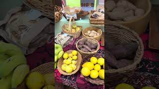 #cruise #adventure #funtimes #vacation #travel #travelphotography #vlog #blog #cruiseadventure