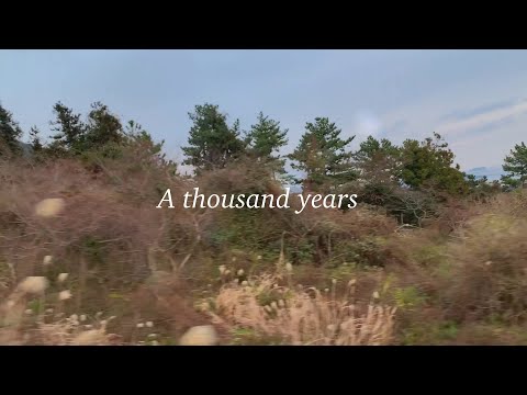 A thousand years - Christina Perri (cover)
