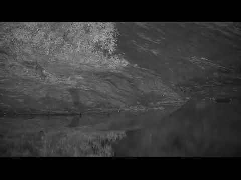 Djuma Private Game Reserve Live Stream