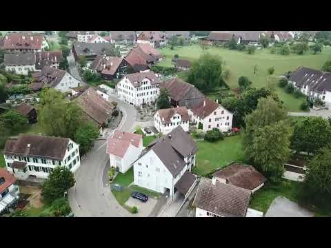 Toky fitaka - Jovial