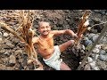 Tegalu Oldest Village Food Palm Sprouts Gengul Palmyra Sprouts Country Palm Sprouts