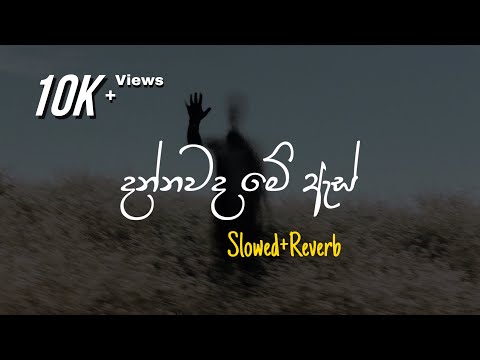 Dannawada Me As - දන්නවද මේ ඇස් (Slowed+Reverb)