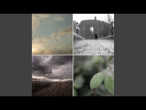 Festive Moods for Rainy Evening