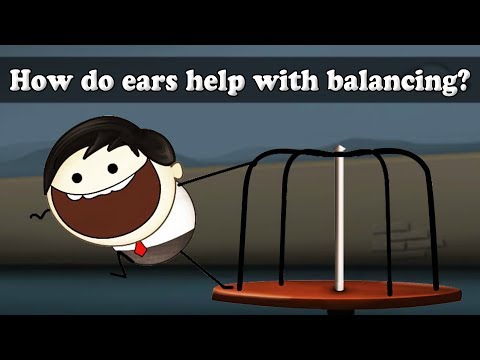 How do ears help with balancing? | #aumsum #kids #science #education #children