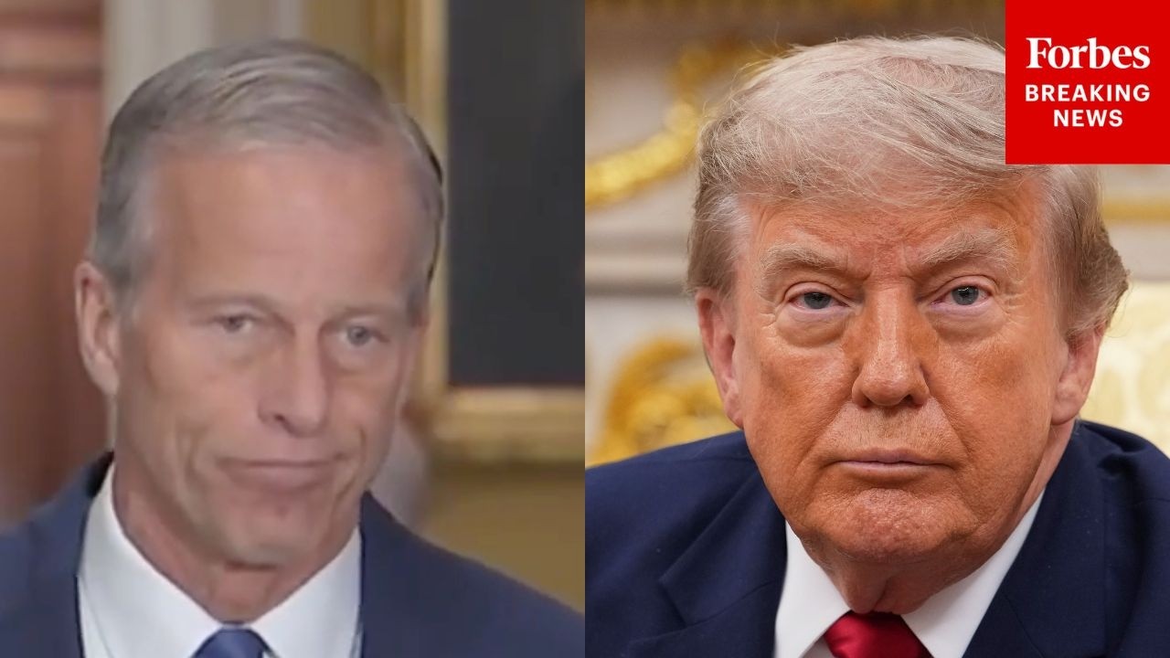 Video: Thune Deflects Question on Trump 2020 Remarks, Stresses 2026 Focus