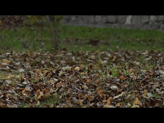 Алло, коммунальщики?