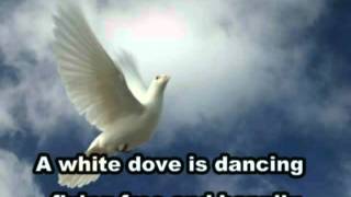 White Dove Fly High