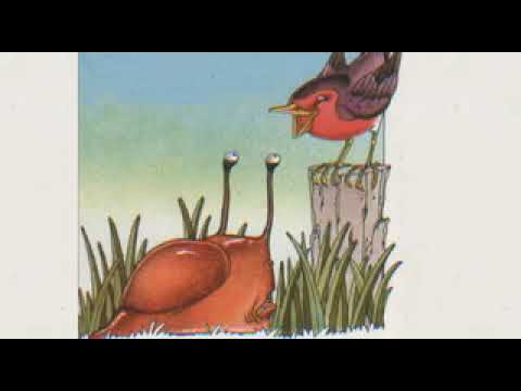 Una canzone per una lumaca