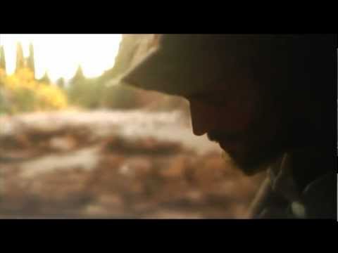Your Drinking Shoulder - The Wooden Wolf