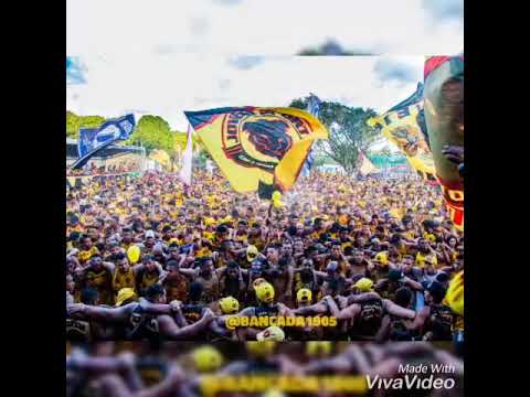 MC MEGA NOSSO BONDE É O TREM