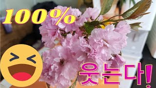 여자 웃게 하는 가장 쉬운 방법