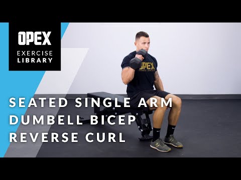 Seated Single Arm Dumbbell Bicep Reverse Curl - OPEX Exercise Library