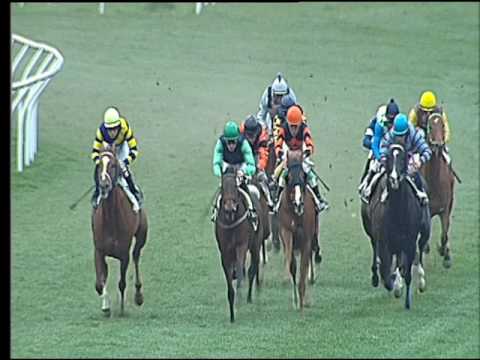 Galoppo 28/02/2017 - 3ª corsa