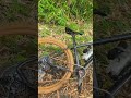 Maxxis Covered In Mud
