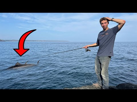 GIANT Bluefin Tuna Encounter From SHORE In Cornwall | The Fal Anglers with @JoeoutdoorsMTW