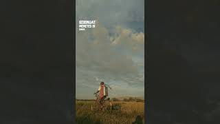 Download lagu Lirik Lagu 'Jadilah Legenda- Superman Is Dead #shorts mp3 Download lagu Lirik Lagu 'Jadilah Legenda- Superman Is Dead #shorts mp3