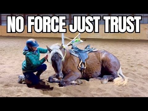 TAKE THAT BRIDLE OFF! Bridleless Ride on My Belgian Cross Mare