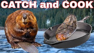 Wild Beaver Catch and Cook from the Trapline